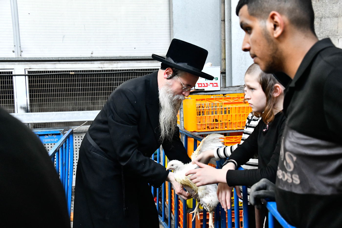 מנהג כפרות בבני ברק 