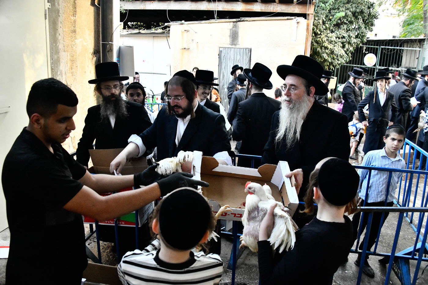 מנהג כפרות בבני ברק 