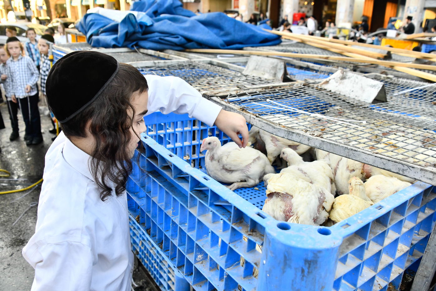 מנהג כפרות בבני ברק 