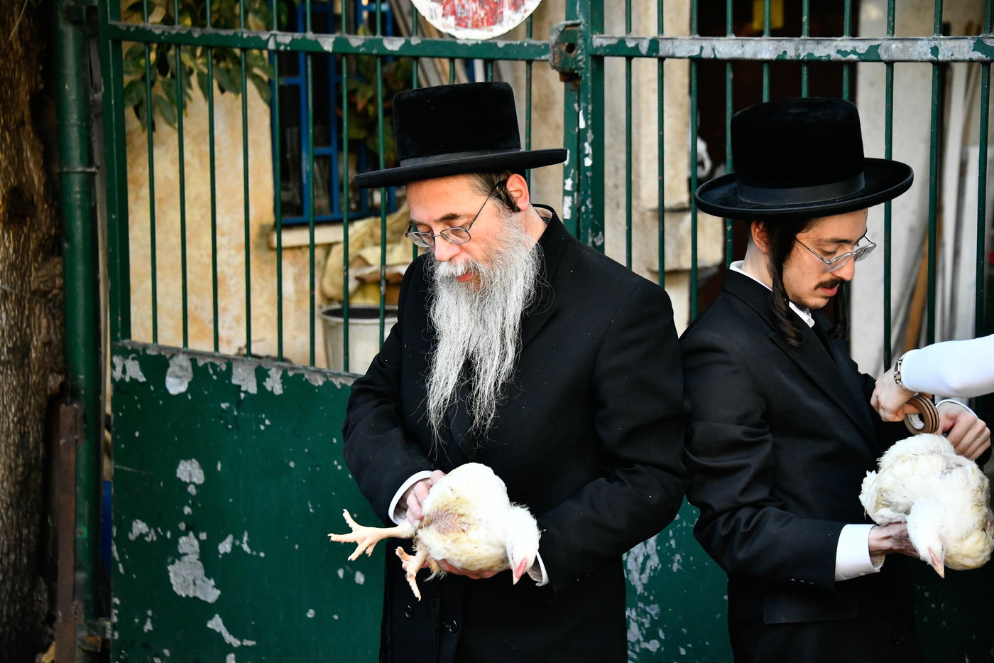 מנהג כפרות בבני ברק 