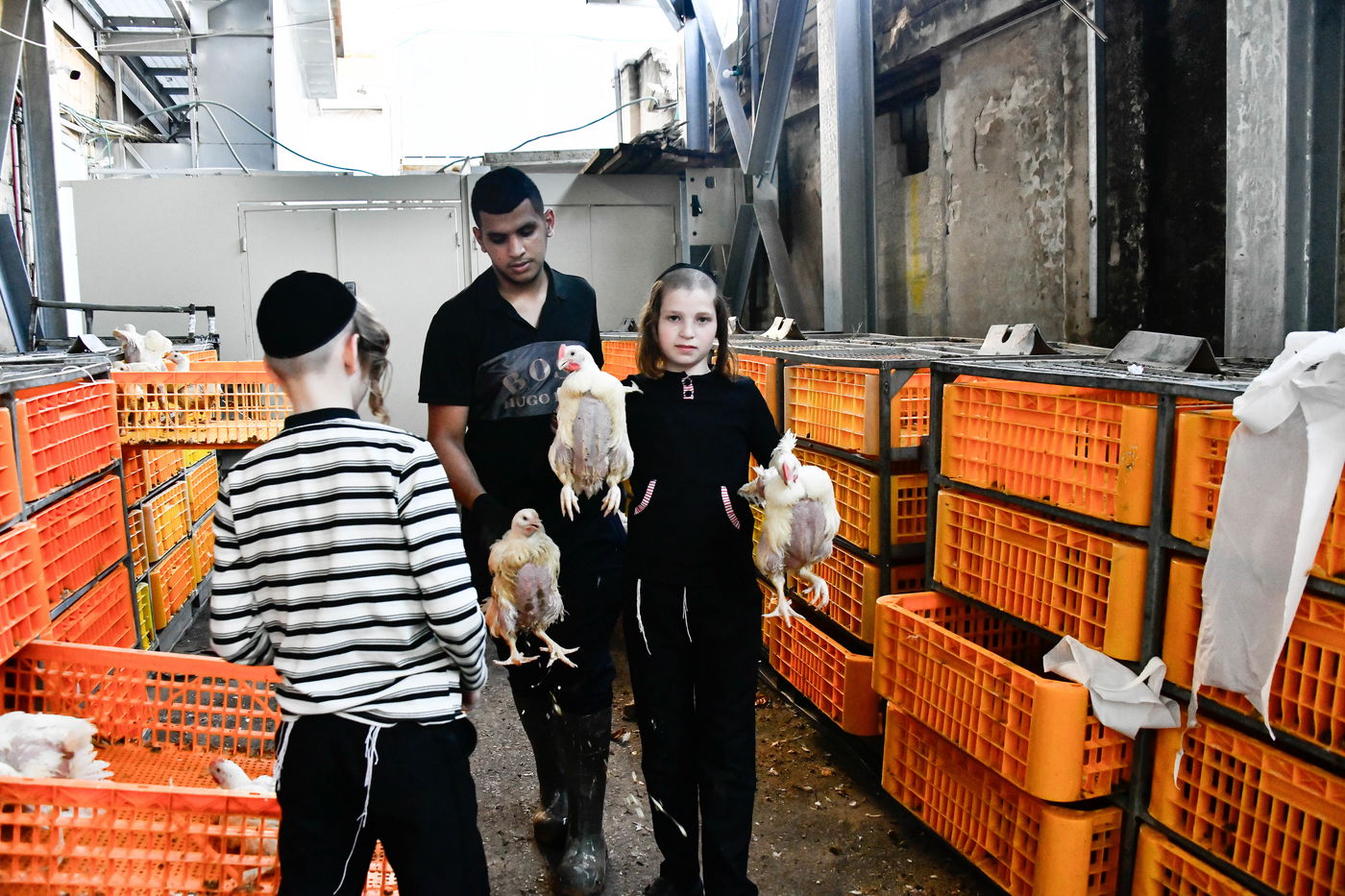 מנהג כפרות בבני ברק 