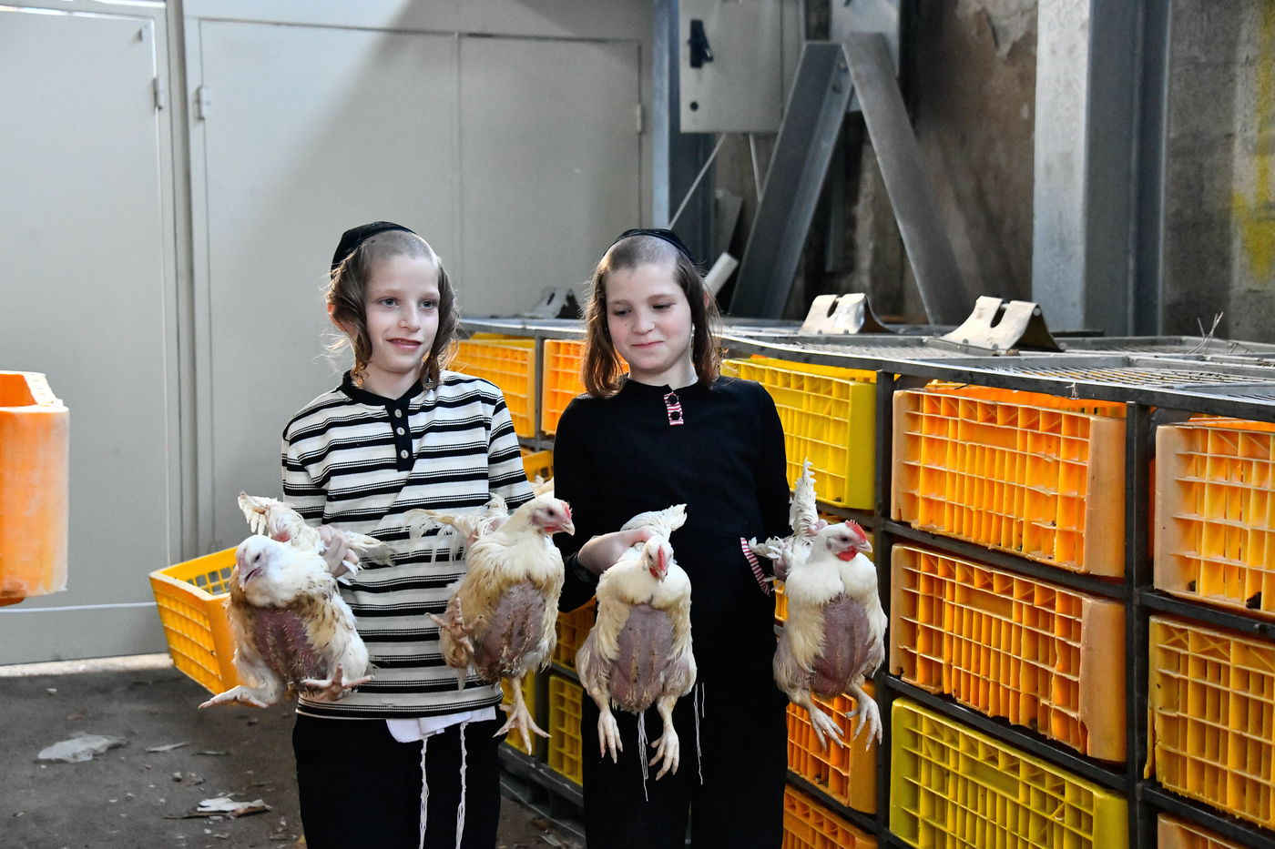 מנהג כפרות בבני ברק 