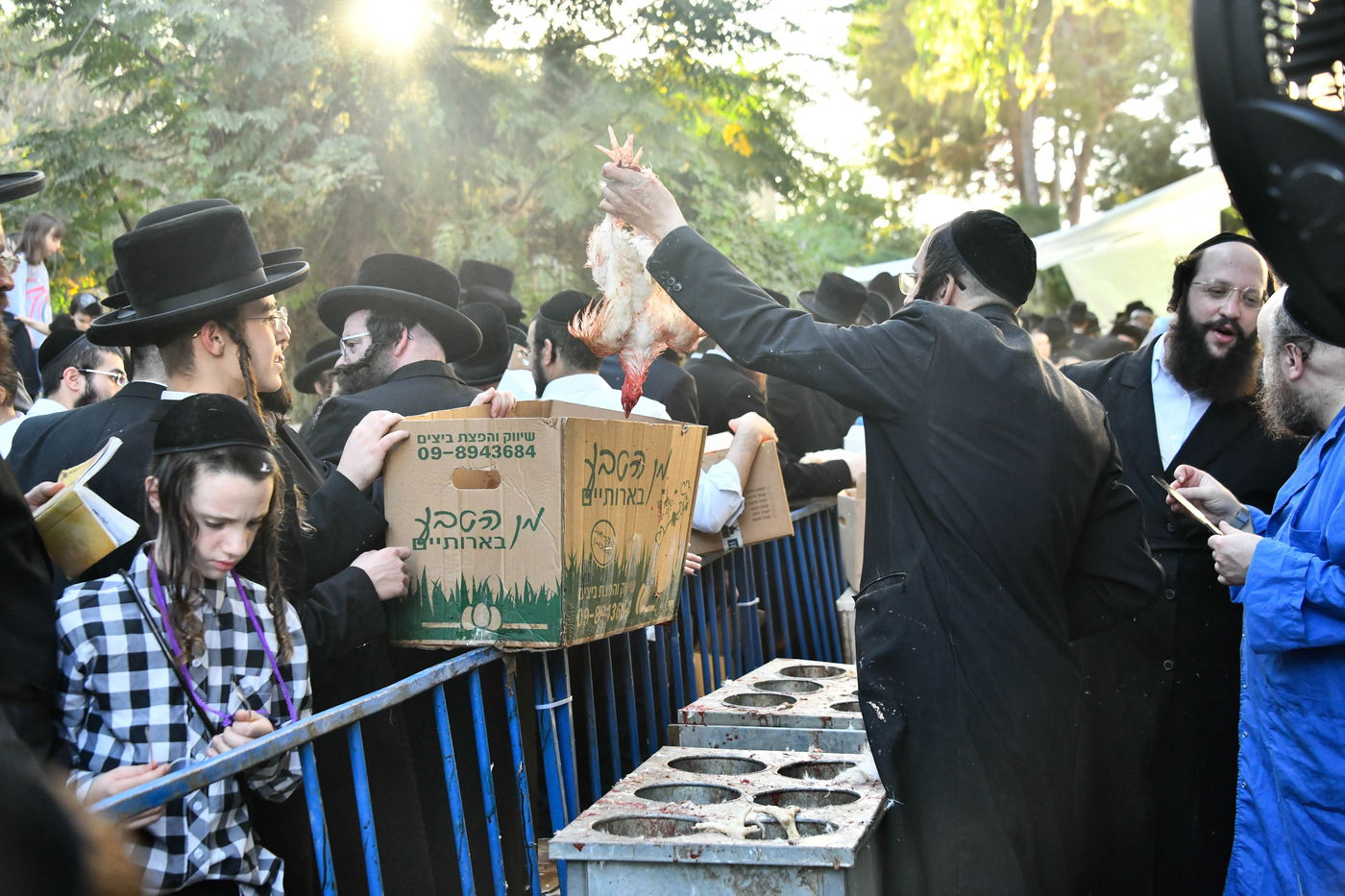 מנהג כפרות בבני ברק 