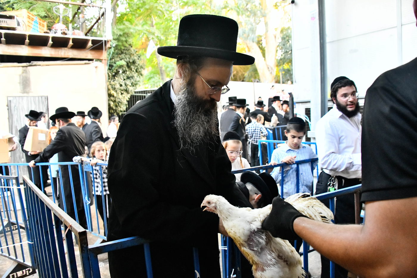 מנהג כפרות בבני ברק 