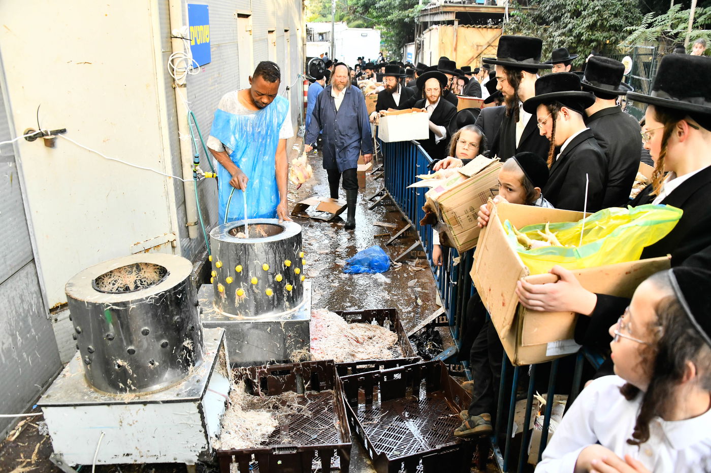 מנהג כפרות בבני ברק 