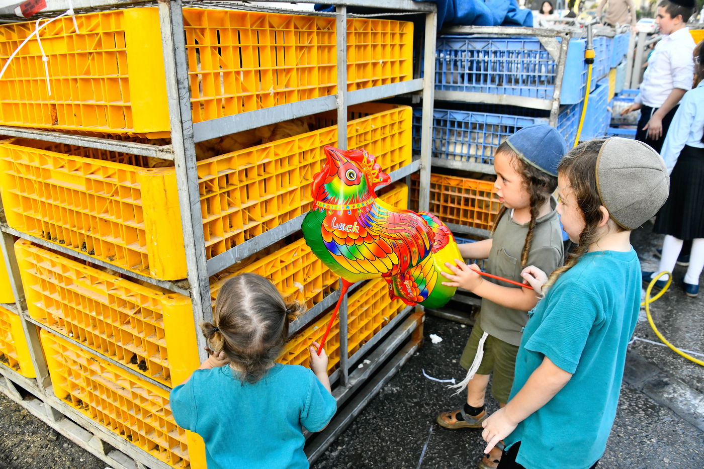 מנהג כפרות בבני ברק 