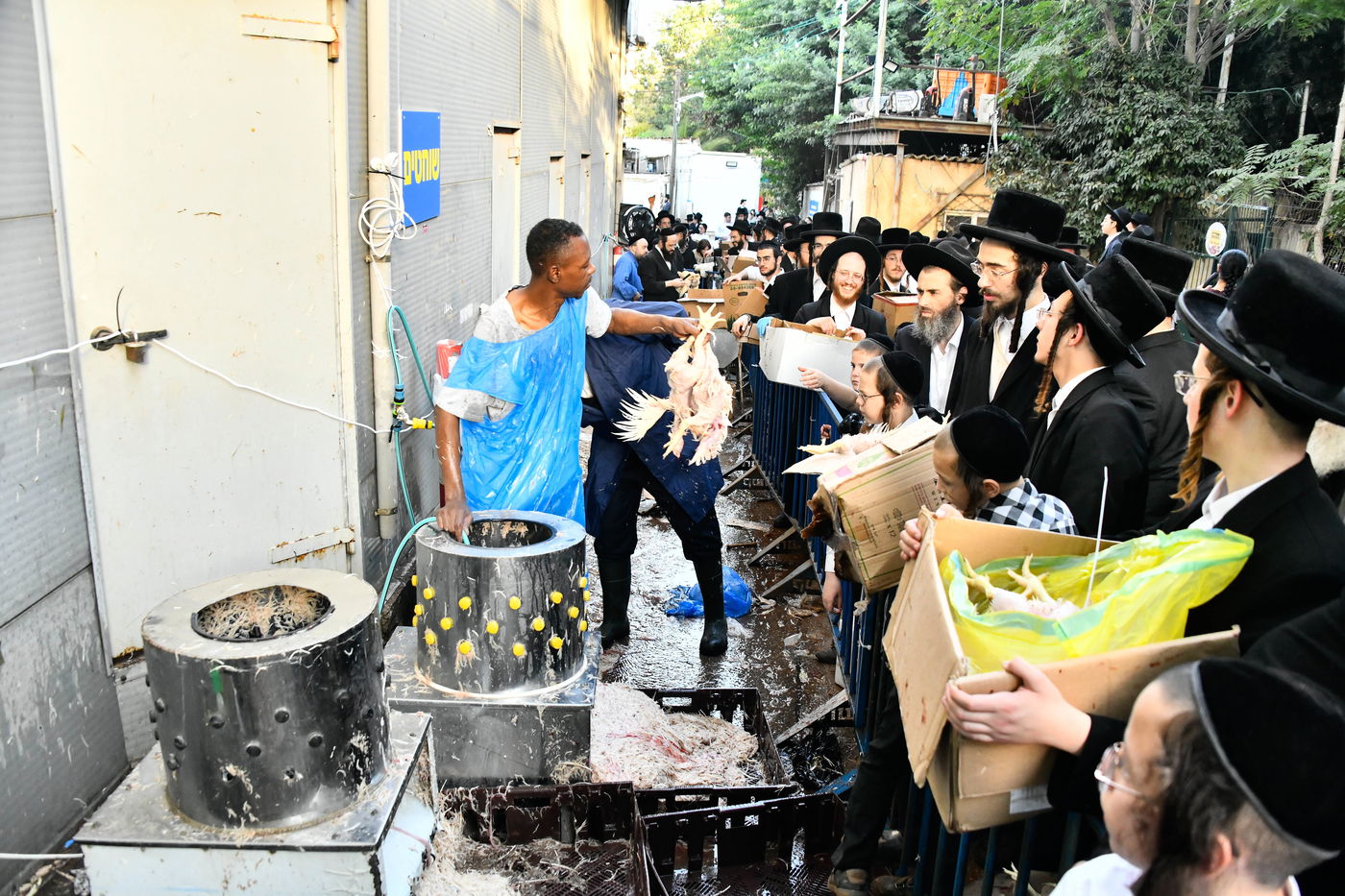 מנהג כפרות בבני ברק 