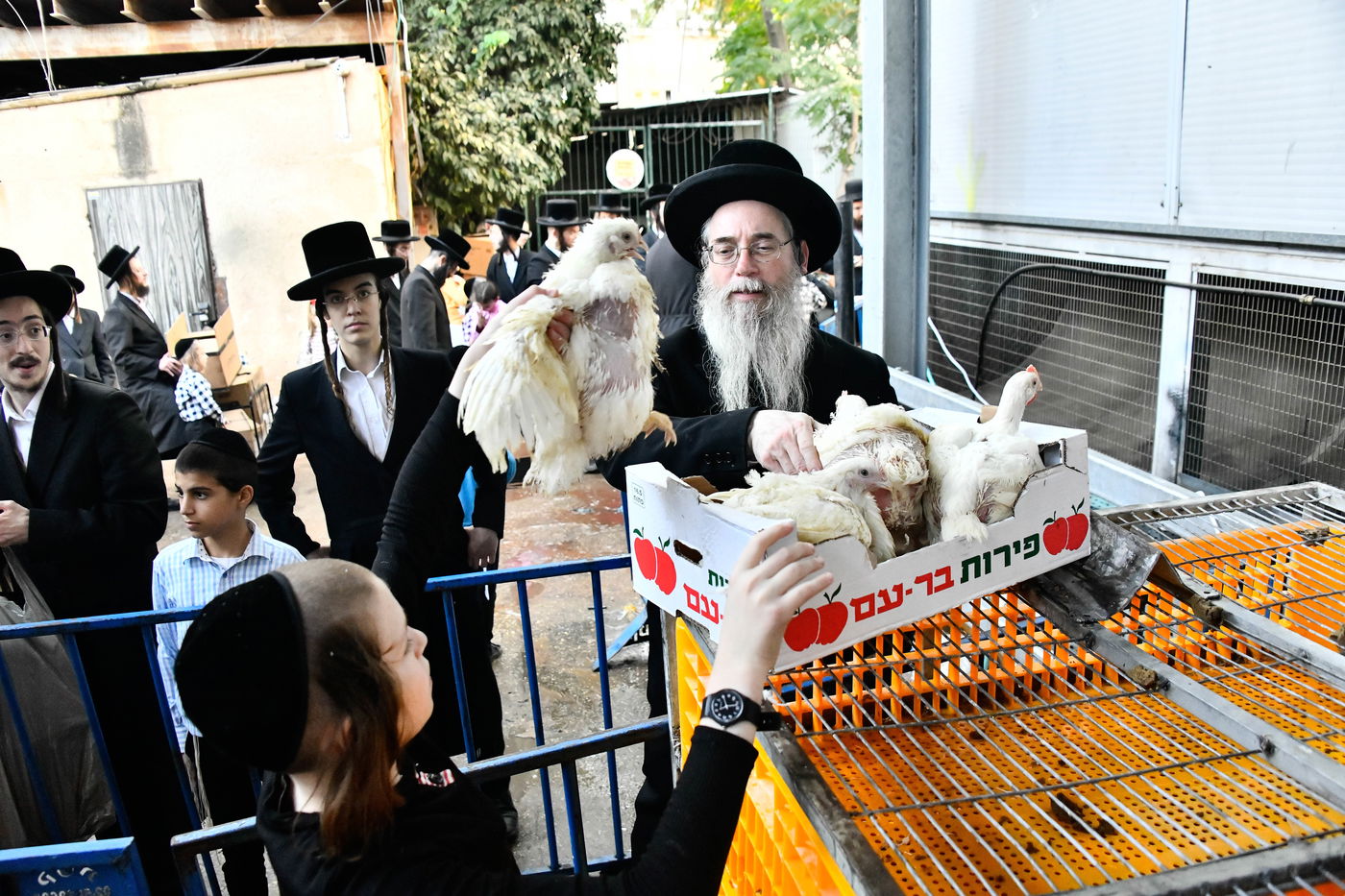 מנהג כפרות בבני ברק 