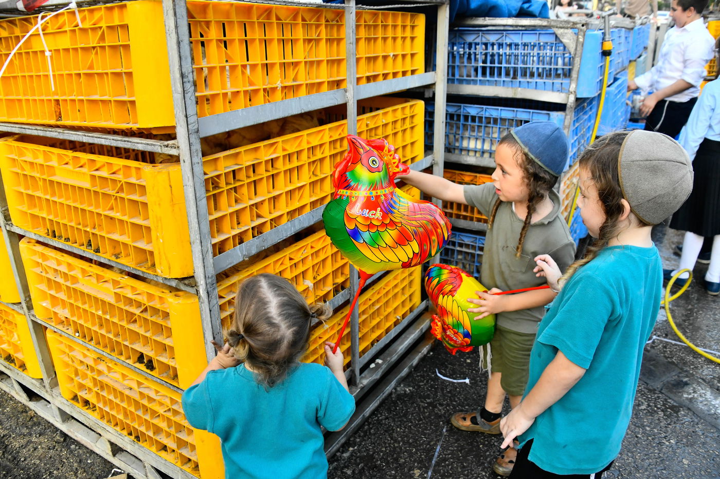 מנהג כפרות בבני ברק 