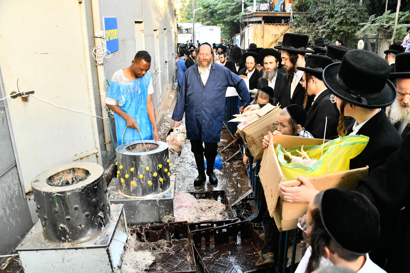 מנהג כפרות בבני ברק 