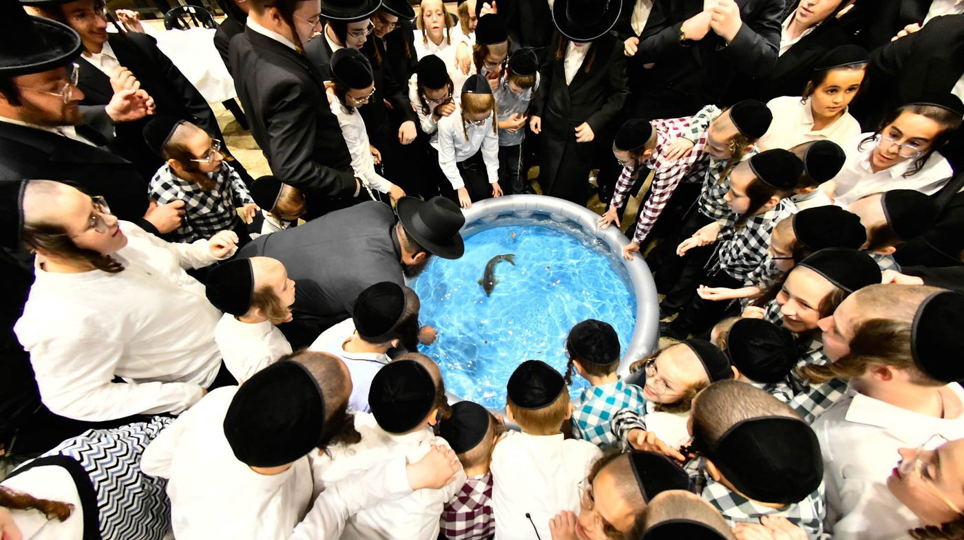 האדמו"ר מסאדיגורה במנהג תשליך