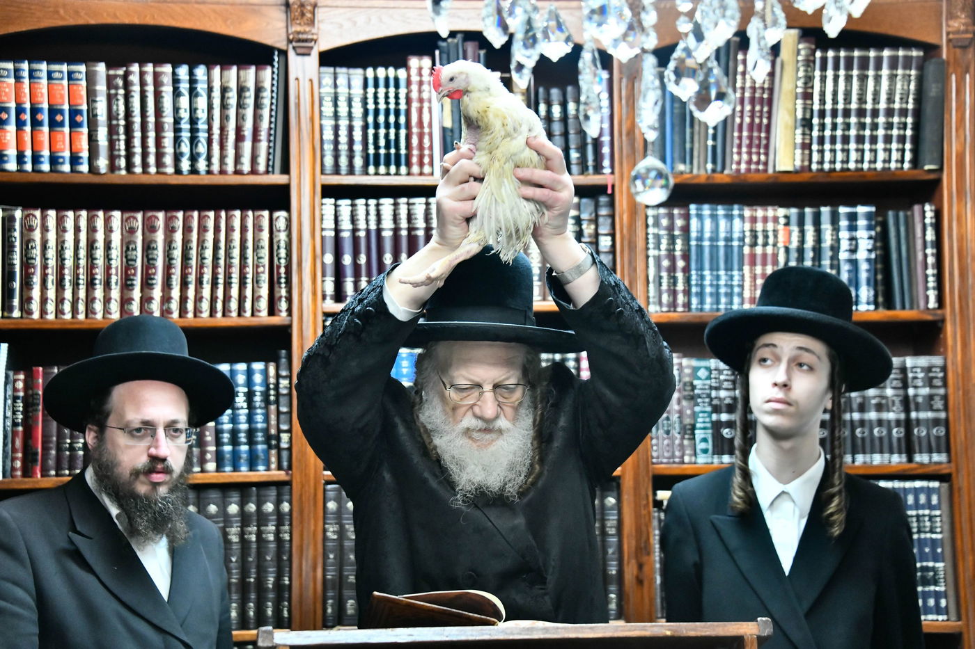 האדמו"ר ממודז'יץ במנהג כפרות