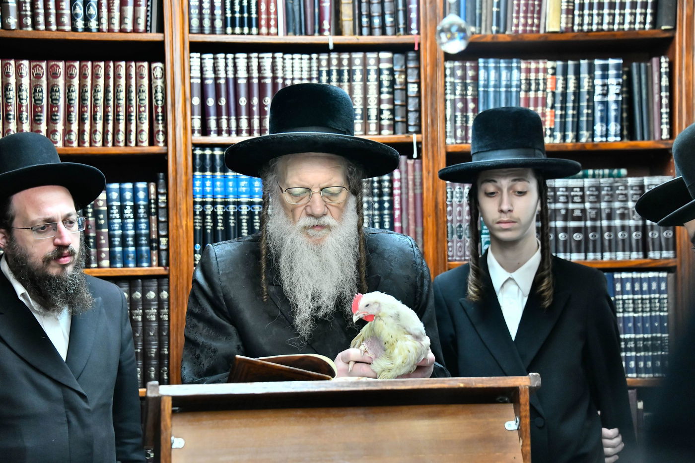 האדמו"ר ממודז'יץ במנהג כפרות