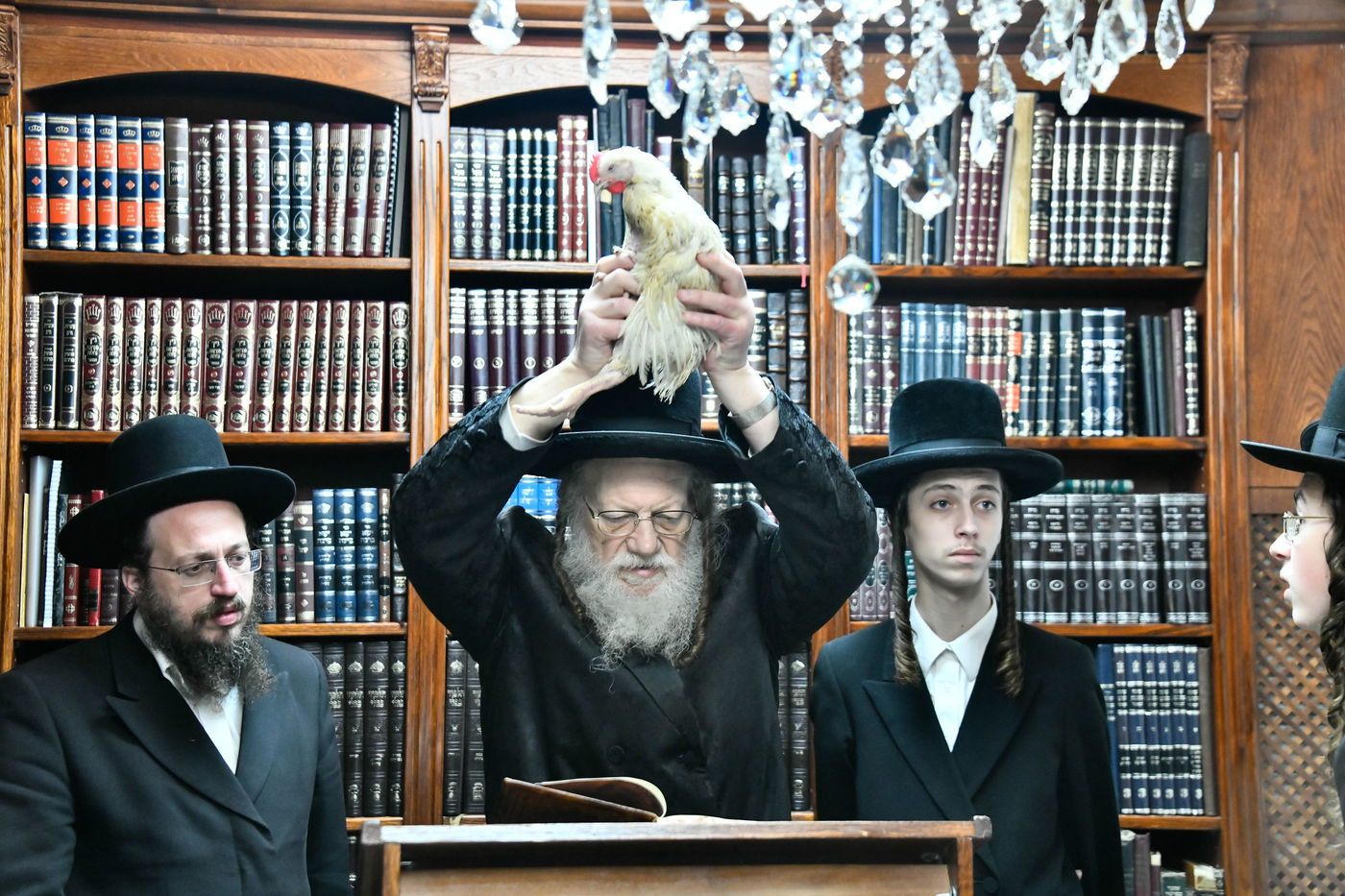 האדמו"ר ממודז'יץ במנהג כפרות