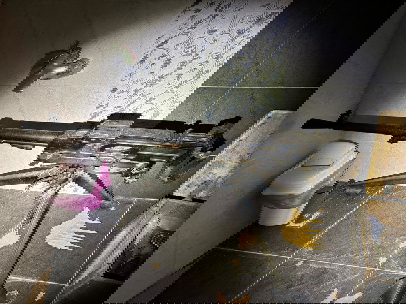 אמל"ח שנתפס