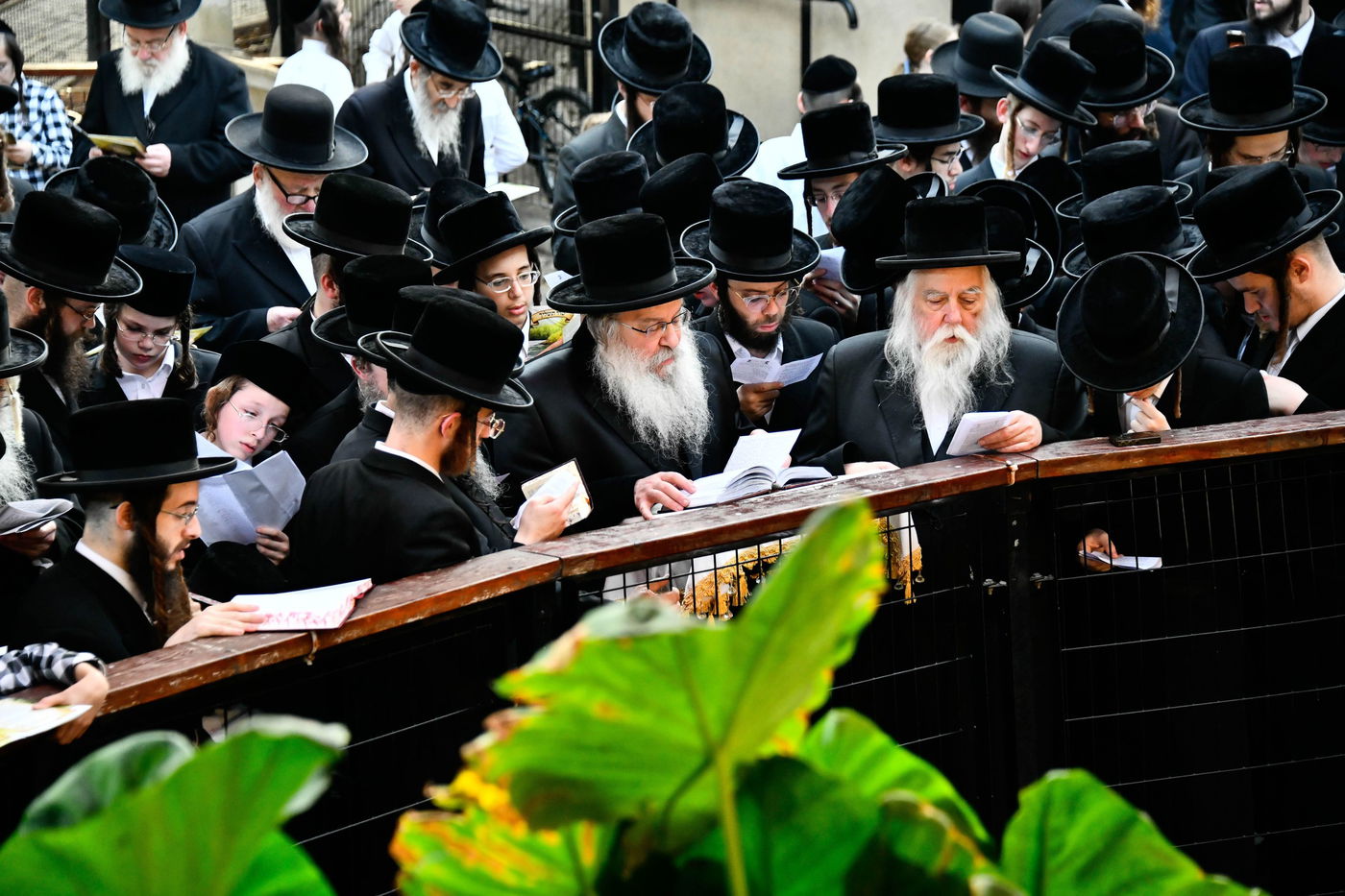 האדמו"ר מנדבורנה בתשליך 