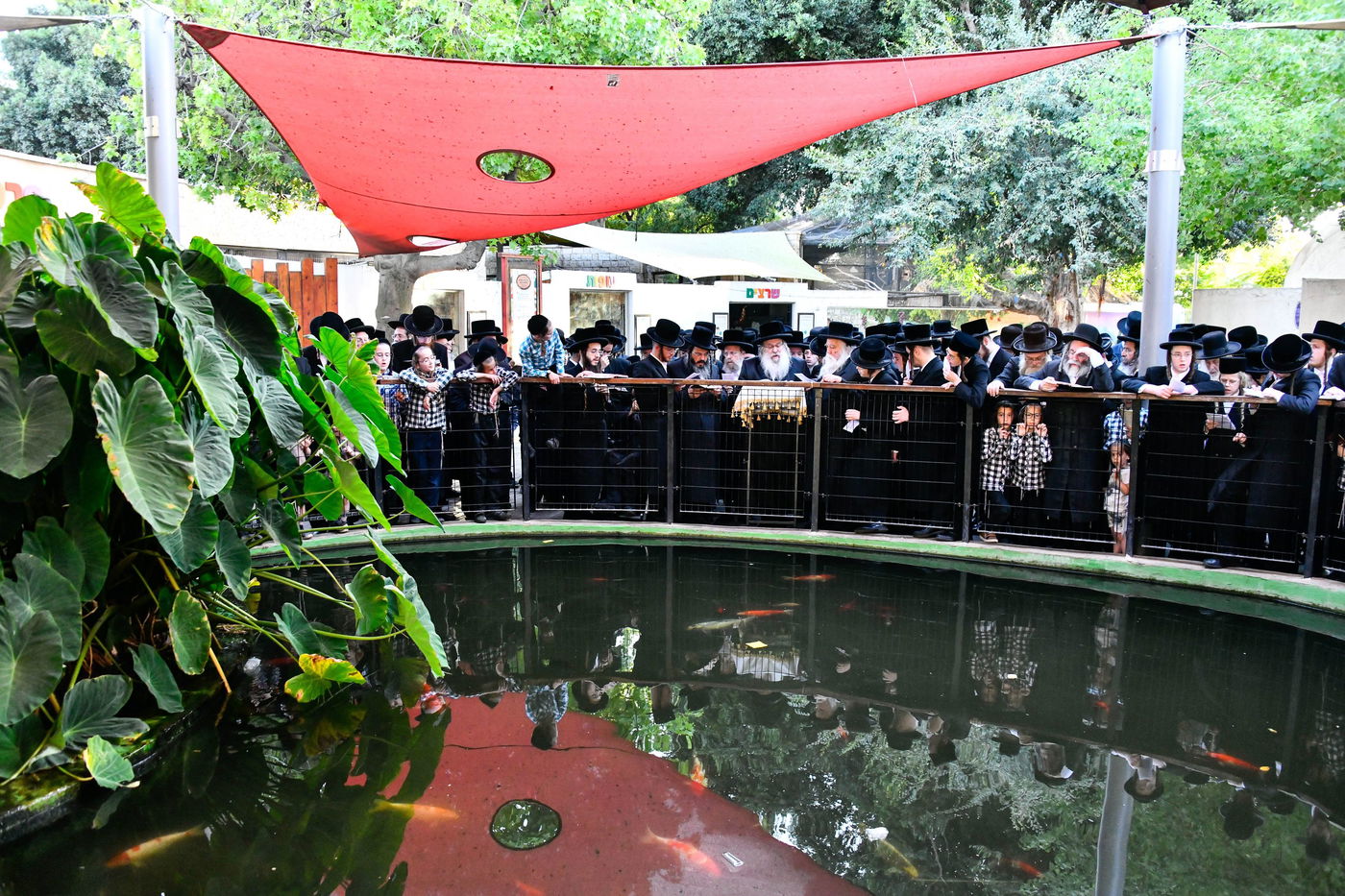 האדמו"ר מנדבורנה בתשליך 