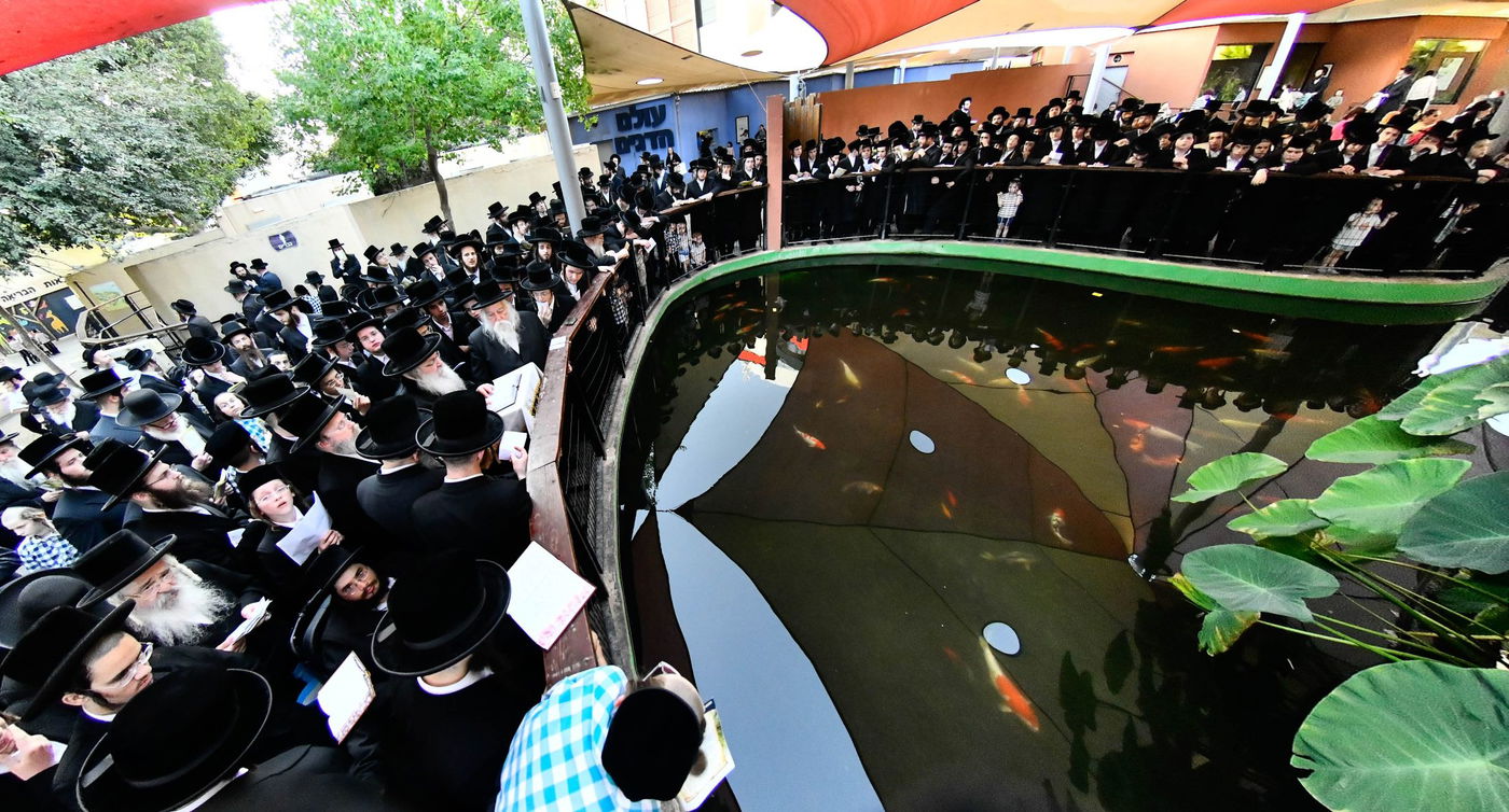 האדמו"ר מנדבורנה בתשליך 