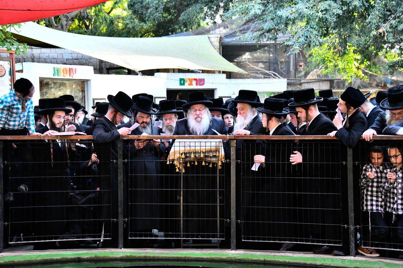 האדמו"ר מנדבורנה בתשליך 