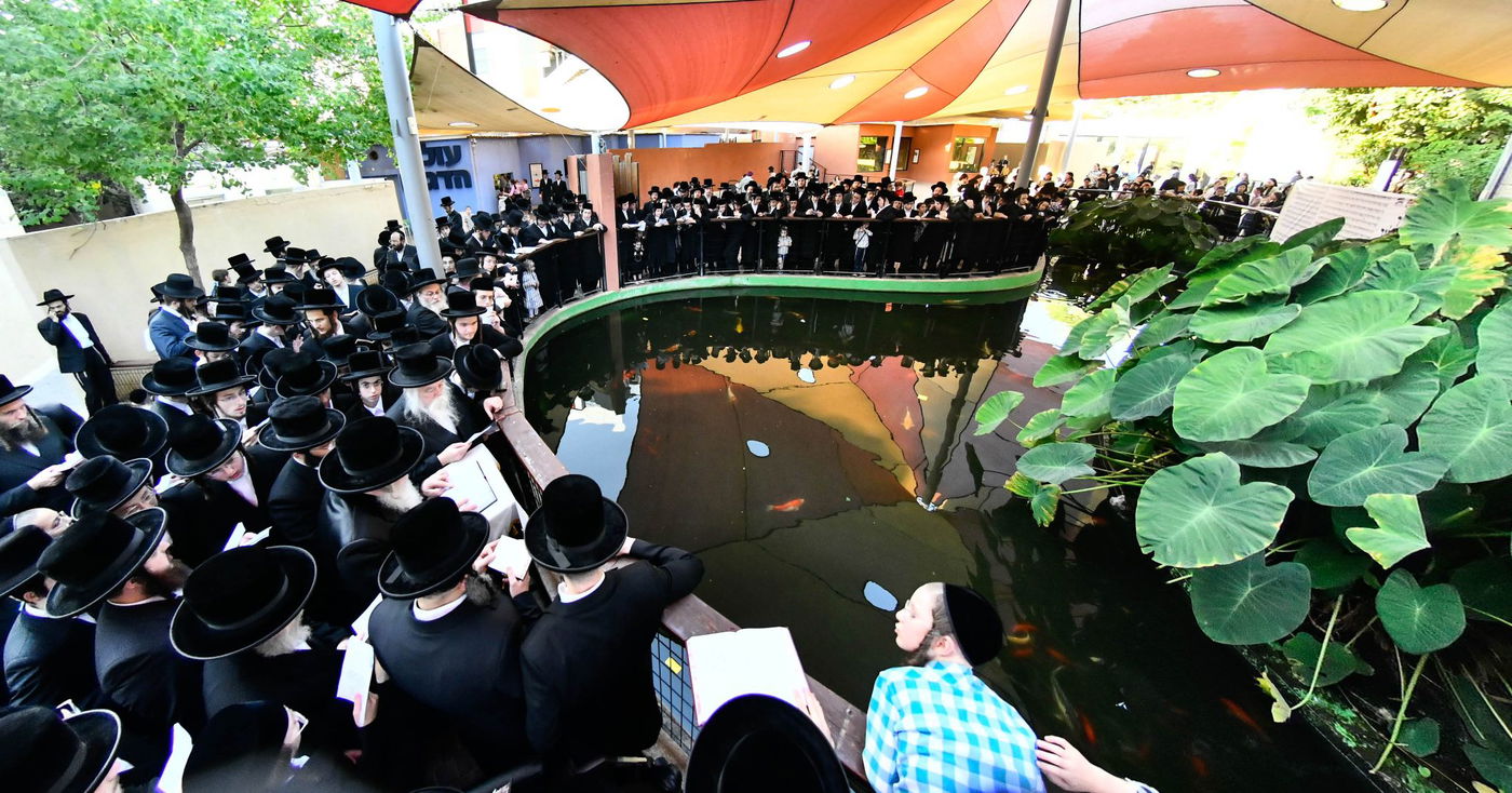 האדמו"ר מנדבורנה בתשליך 