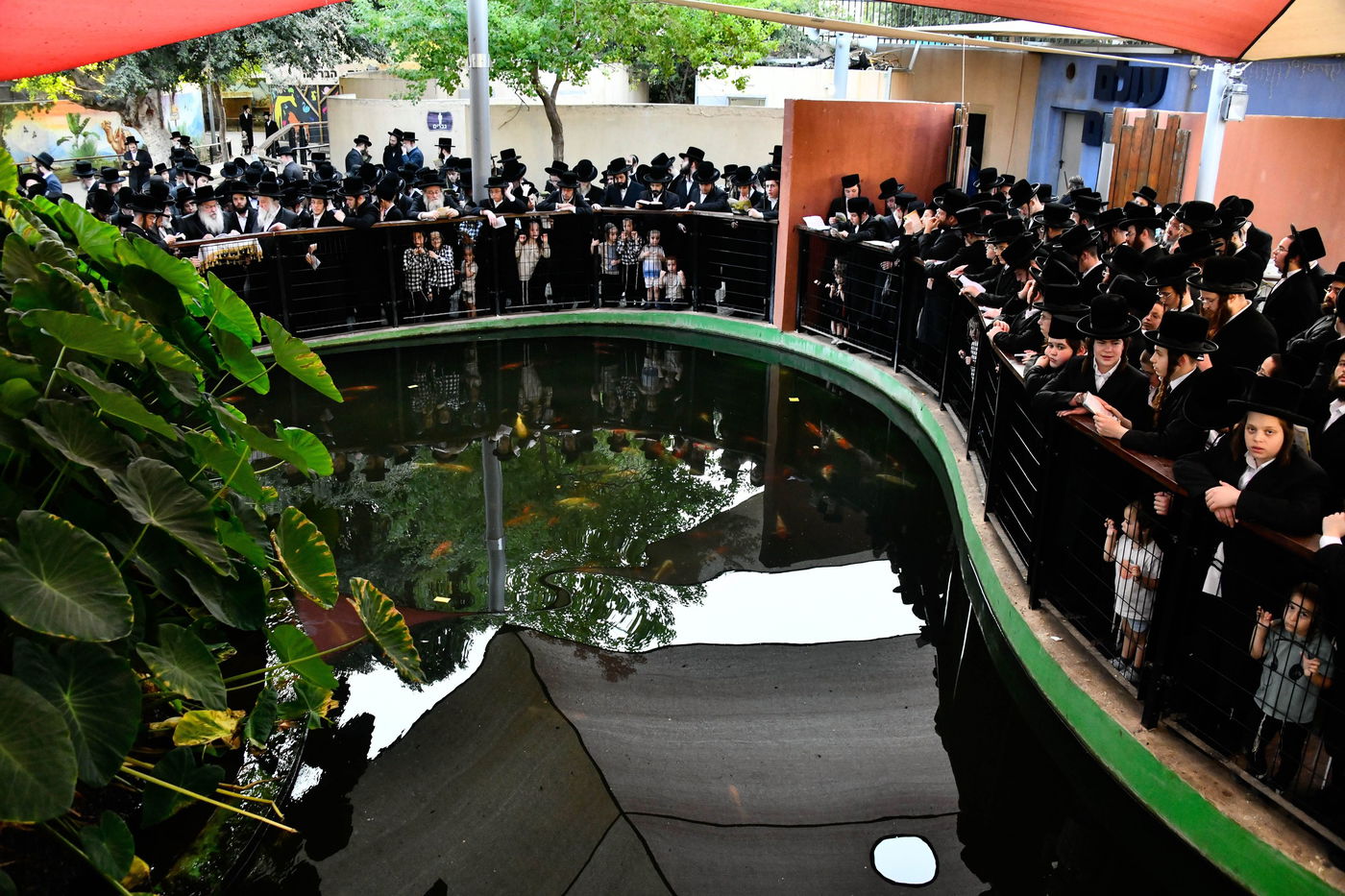 האדמו"ר מנדבורנה בתשליך 