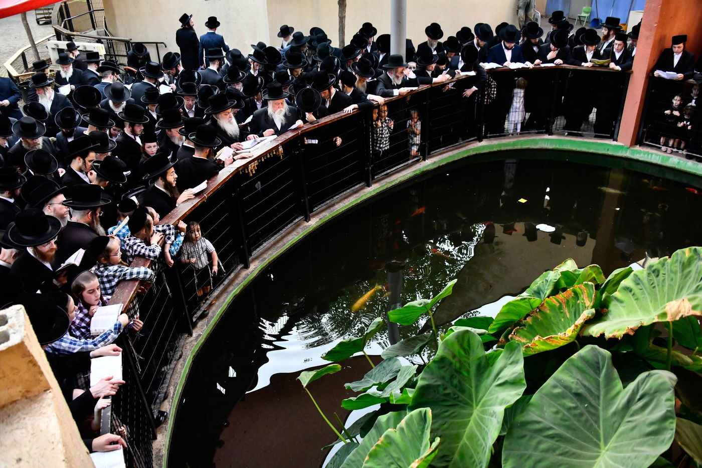 האדמו"ר מנדבורנה בתשליך 