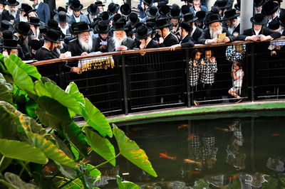 האדמו"ר מנדבורנה בתשליך 