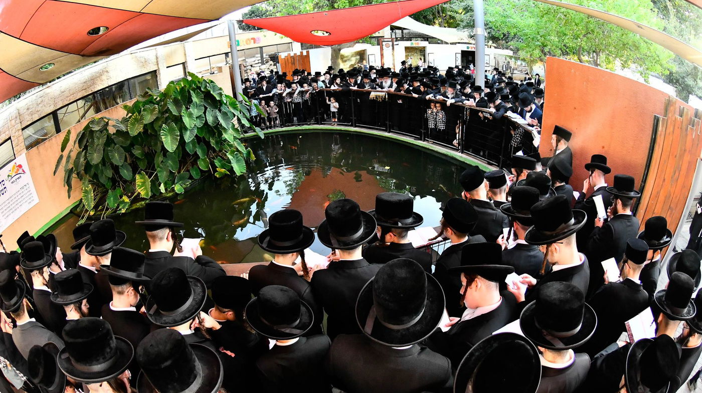 האדמו"ר מנדבורנה בתשליך 