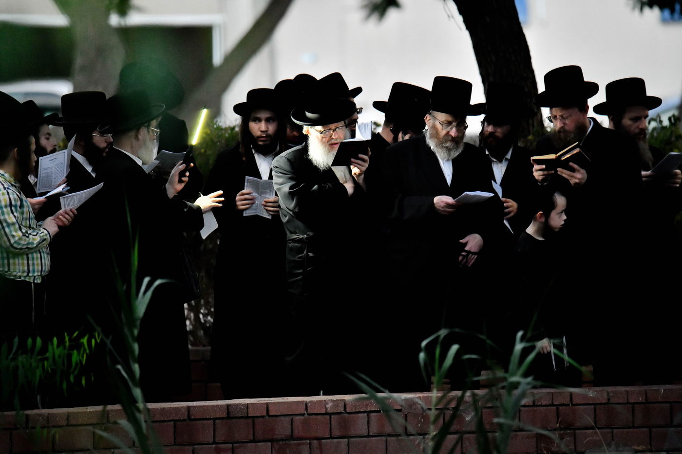 האדמו"ר מבוהוש בתשליך 