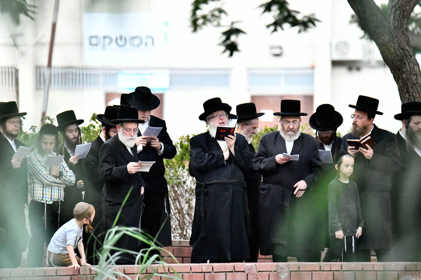 האדמו"ר מבוהוש בתשליך 