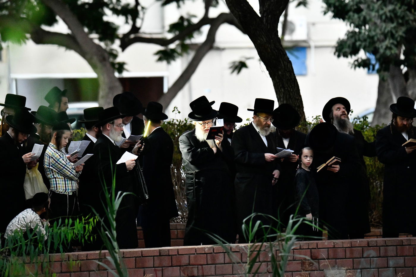 האדמו"ר מבוהוש בתשליך 
