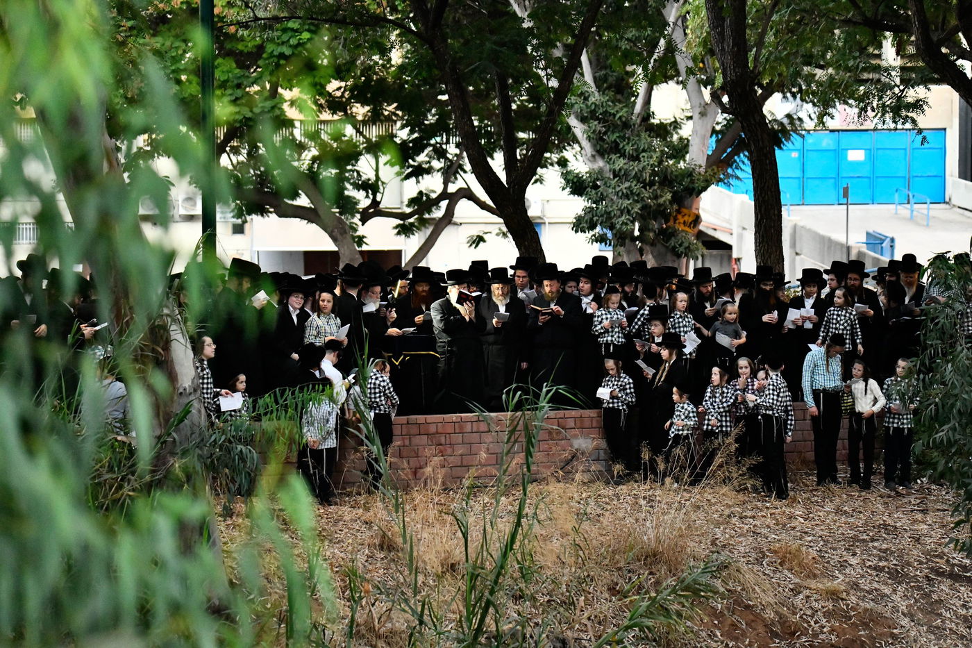 האדמו"ר מבוהוש בתשליך 