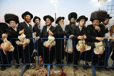 המתנה לשחיטת התרנגולים. בית שמש