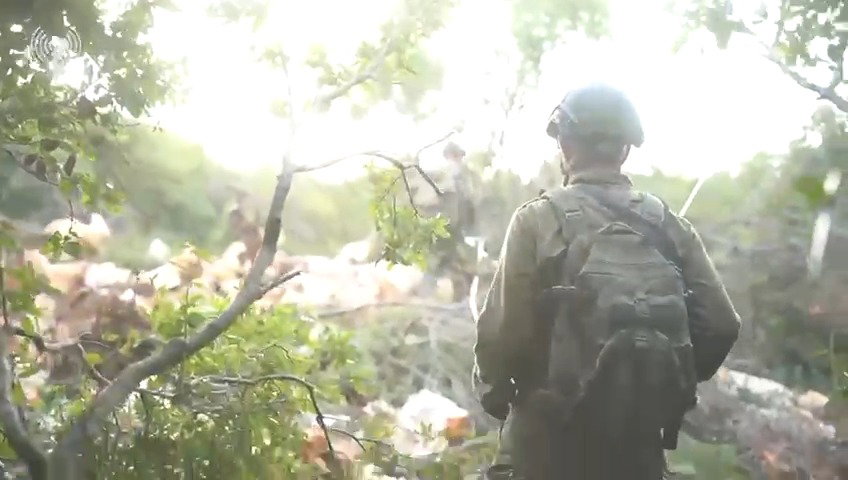 פעילות צה"ל בדרום לבנון