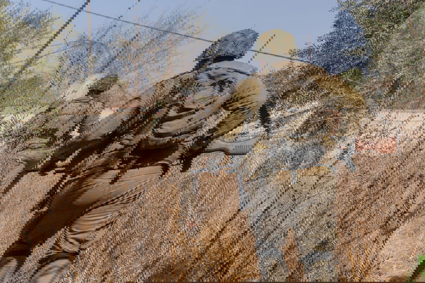 פעילות הכוחות בדרום לבנון