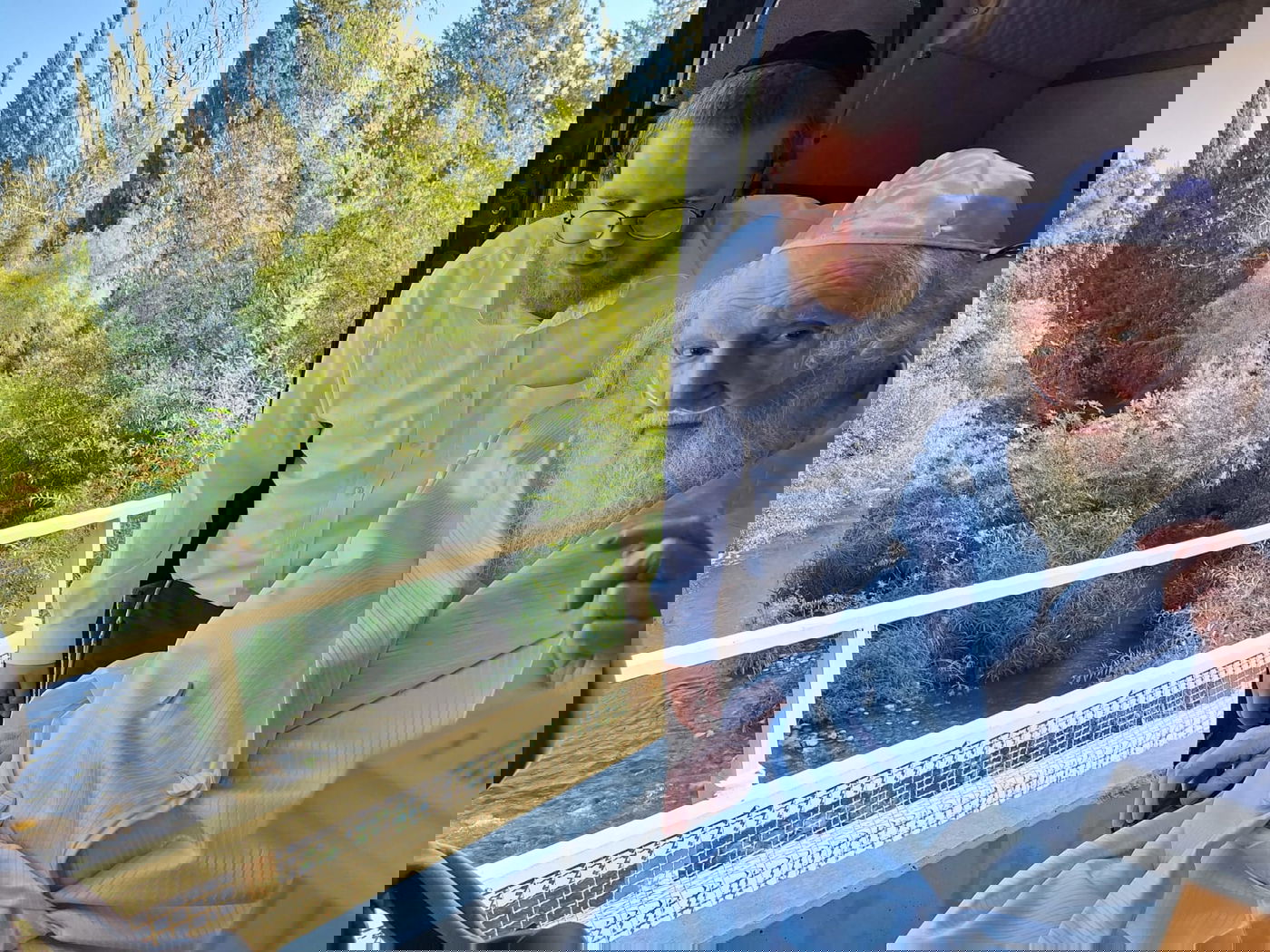 הגאון רבי משה שטרנבוך בתשליך