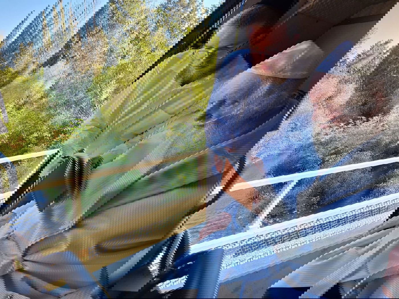 הגאון רבי משה שטרנבוך בתשליך