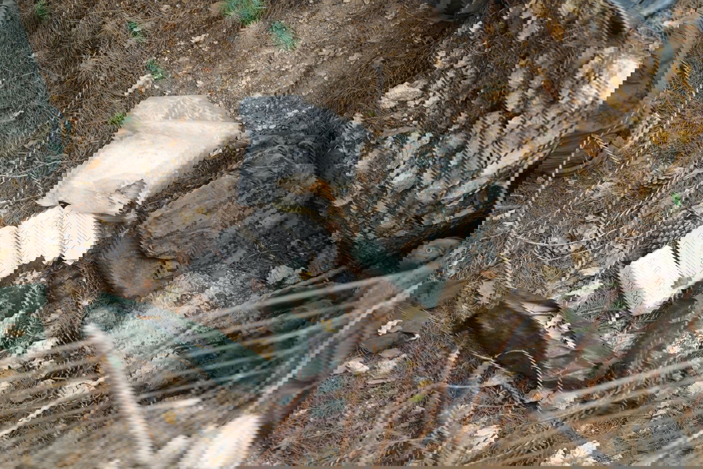 תמונות של כלי הנשק שנמצאו ליד אתר UNIFIL