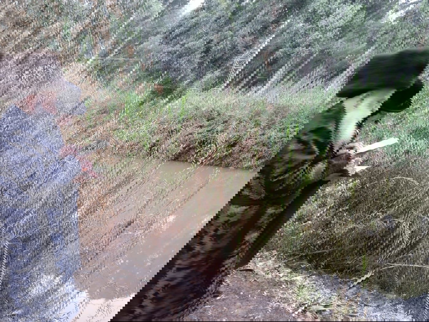 ערב ומוצאי יום כיפור בחצה"ק בוטושאן