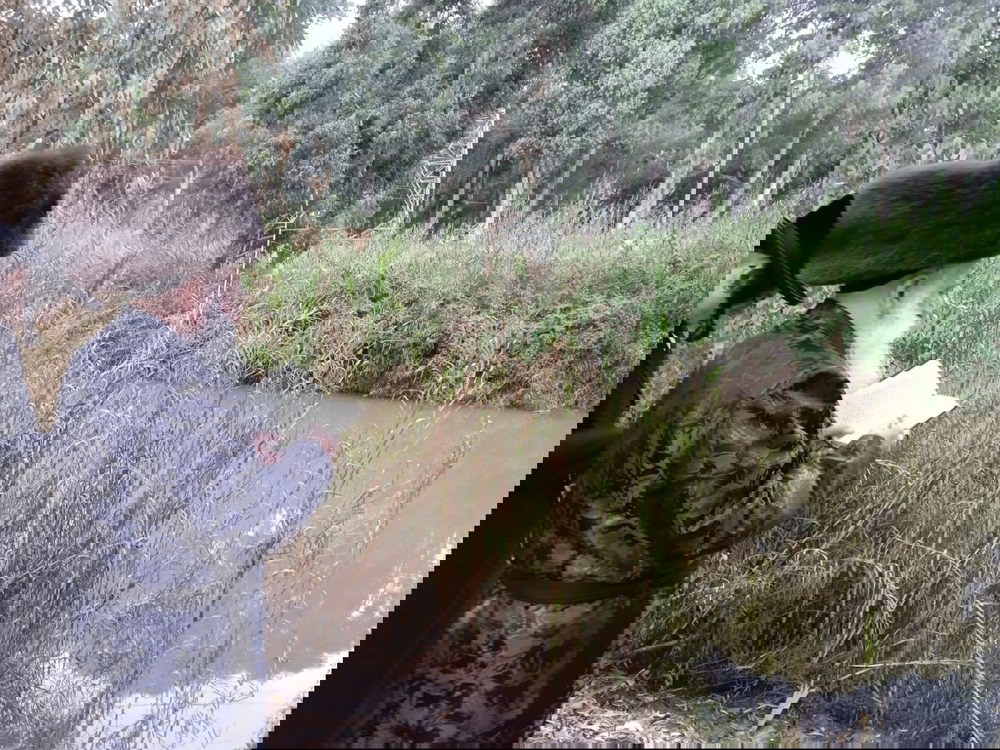 ערב ומוצאי יום כיפור בחצה"ק בוטושאן