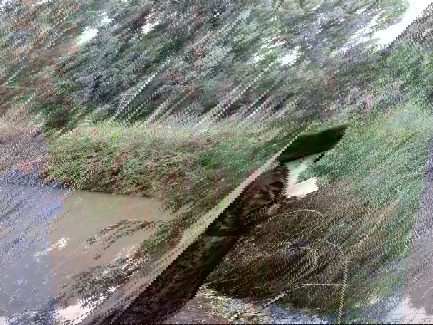 ערב ומוצאי יום כיפור בחצה"ק בוטושאן