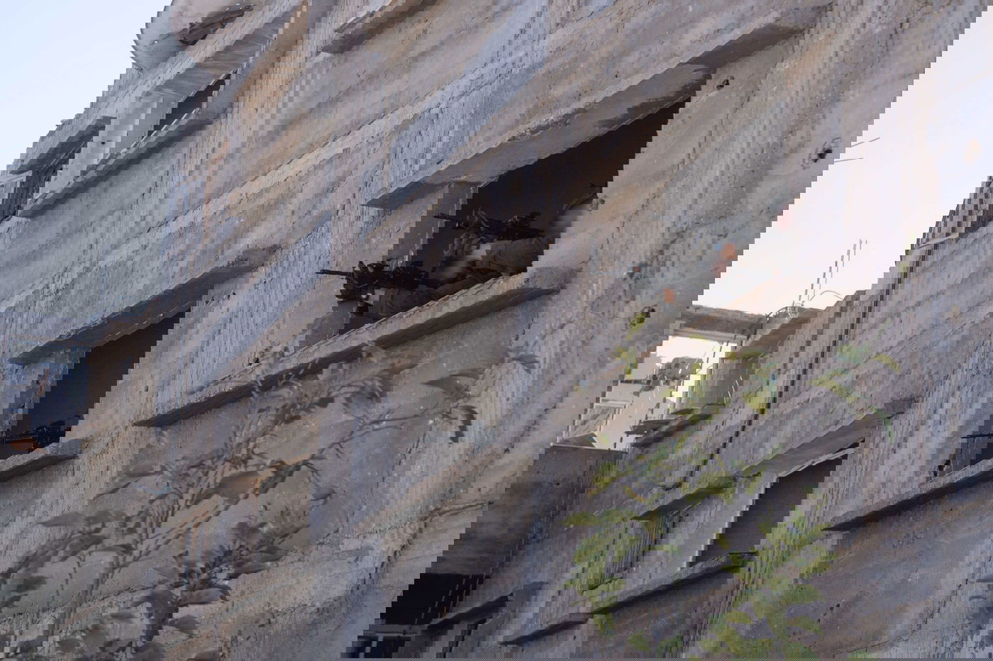 פעילות הכוחות ברצועת עזה