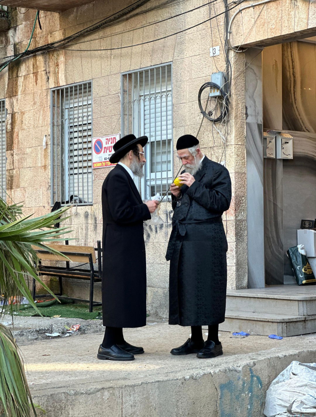 הגה"צ רבי אברהם כץ אב"ד טאהש מאנסי בבדיקת אתרוג 