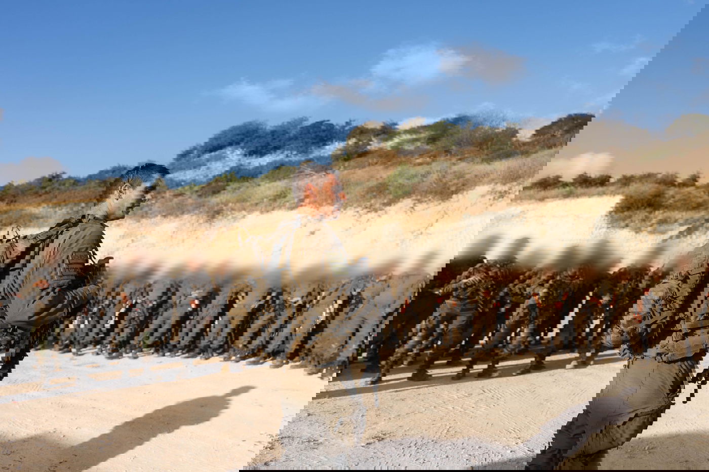 פעילות הכוחות בדרום לבנון