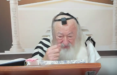 בואו לסיים ש"ס תוך שנה | השיעור היום: שבת קנ"ו - קנ"ז; עירובין ב-ו