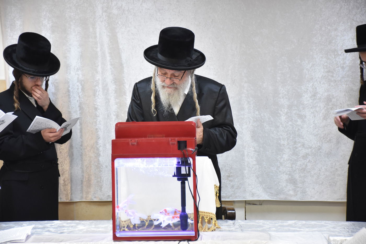 ערב ומוצאי יום כיפור בחצה"ק אשלג