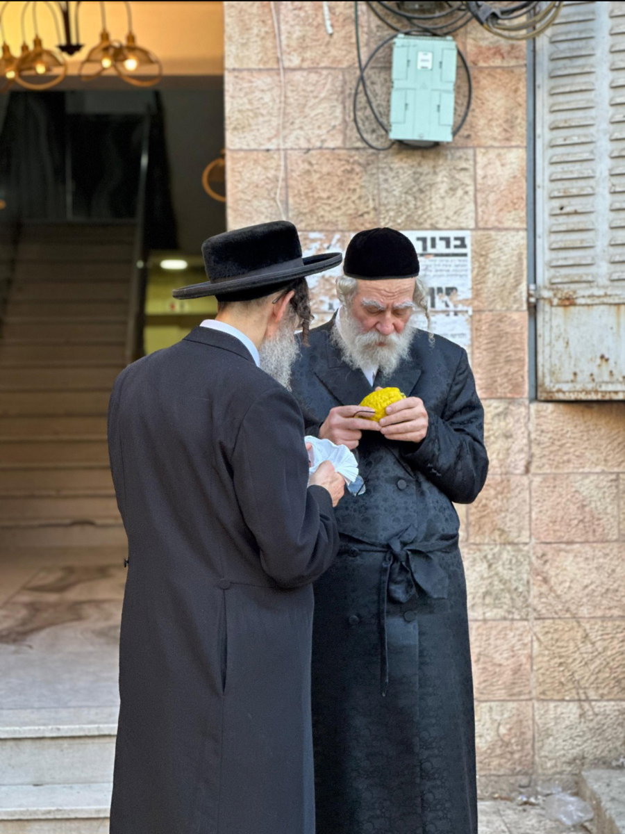 הגה"צ רבי אברהם כץ אב"ד טאהש מאנסי בבדיקת אתרוג