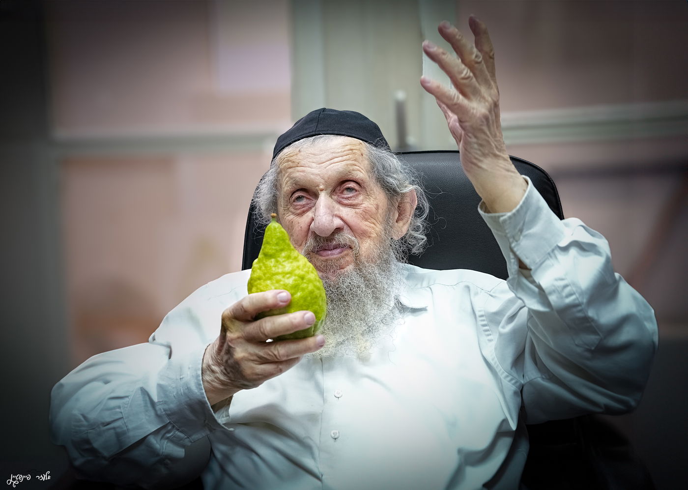 הגאון רבי דב לנדו בשמחה של מצווה עם אתרוגו