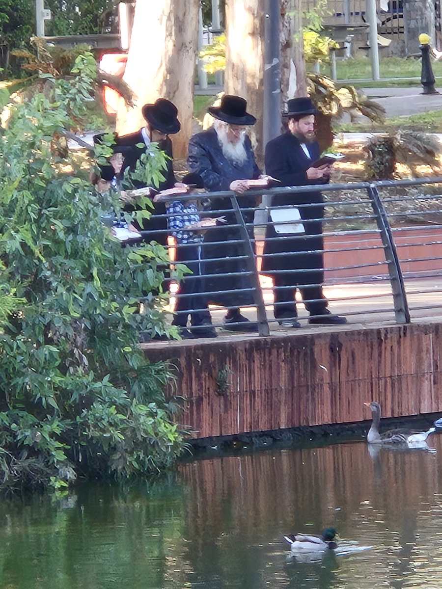 האדמו"ר מלינסק בתשליך