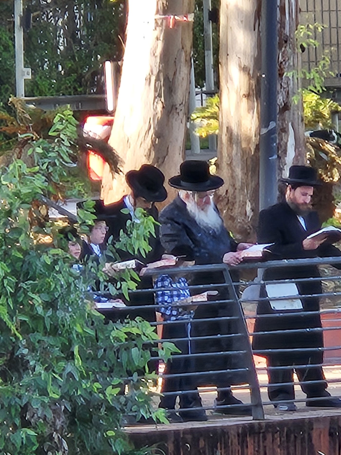 האדמו"ר מלינסק בתשליך 